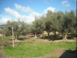 Finca - Cortijo venta Marrakech