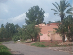 Villa - Maison en vente en Marrakech  - Palmeraie - 3.952.445 MAD