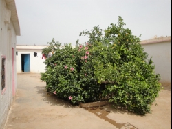 Taroudant Country House for sale220.000 €