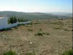 Tetouan Industrial Plot for sale4.000 €