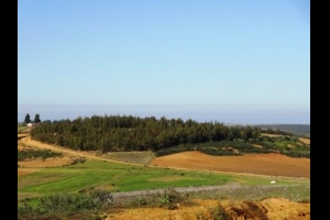 Finca - Cortijo en venta en asilahPrecio bajo DemandaasilahPrecio bajo Demanda