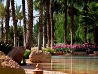 Villa - House for sale in palmeraie, marrakechOn Applicationpalmeraie, marrakechOn Application